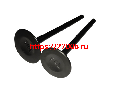 Клапан впускной/выпускной GY6-180 1P62F WD180 (162F.02.311+162F.02.312)