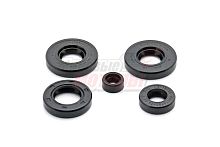 Набор Мопед "Карпаты" сальников