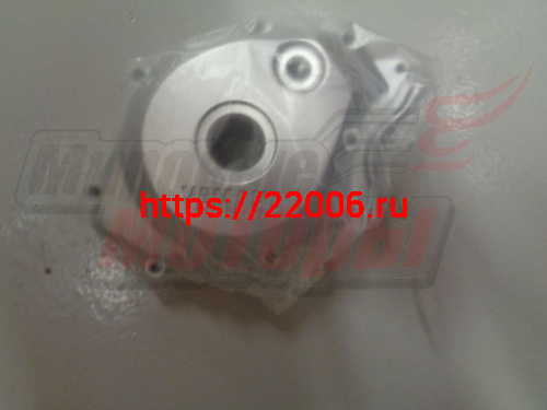 Крышка картера левая YBR125 зажигания